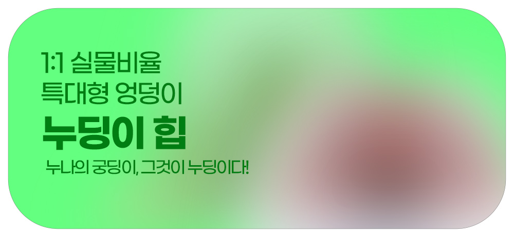 누딩이힙-누나의궁딩이