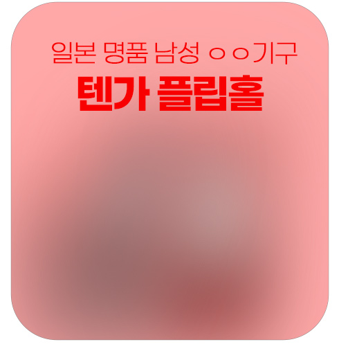 텐가 플립홀 남자 자동 자위기구 명품 오나홀